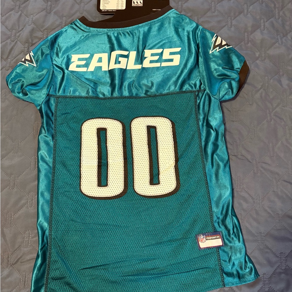 Eagles Teal Dog Jersey